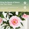 Costway 1/2 PCS 36" Artificial Camellia Tree Fake Potted Tree Greenery Floral Plant Modern Orange/White/Pink